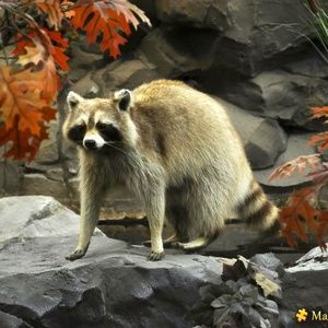 Meet your Posher, Marilyn